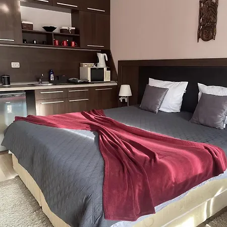 студио натали в балнеохотел св спас *